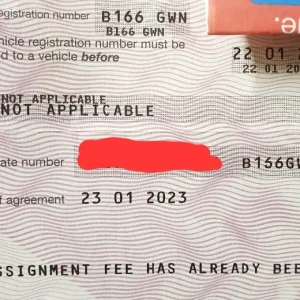 B166 GWN private registration plate