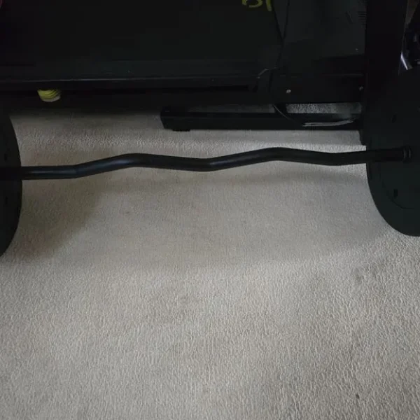 Curl bar and weight plates