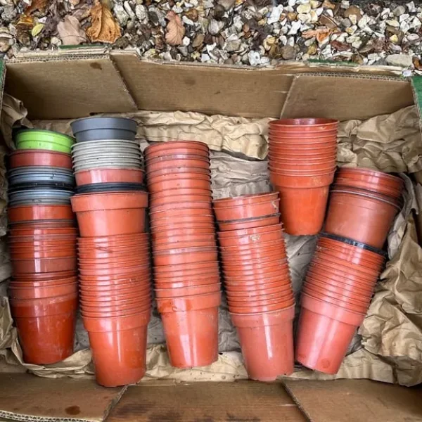 Box of small plant pots