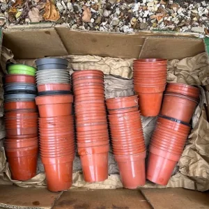 Box of small plant pots