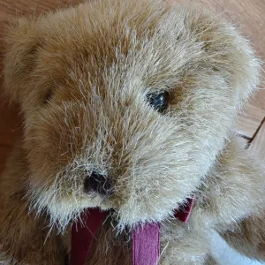 7 inch RUSS Berrie plush bear named Chadworth - Image 3