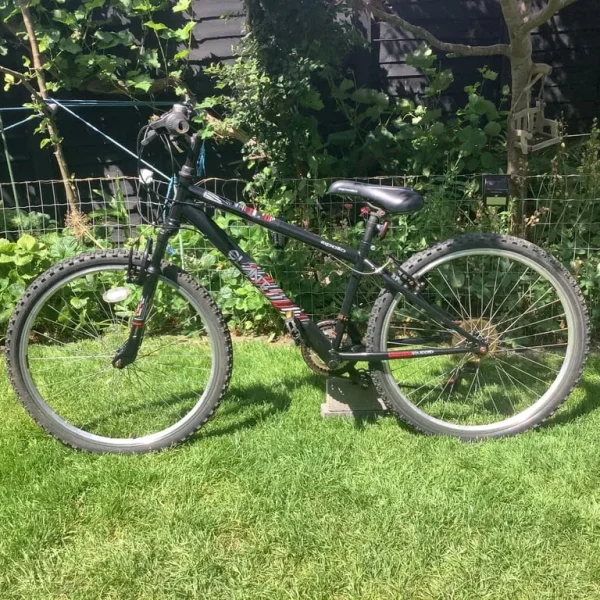 Apollo Slant 14-inch bike