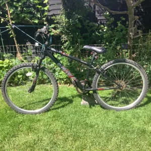 Apollo Slant 14-inch bike