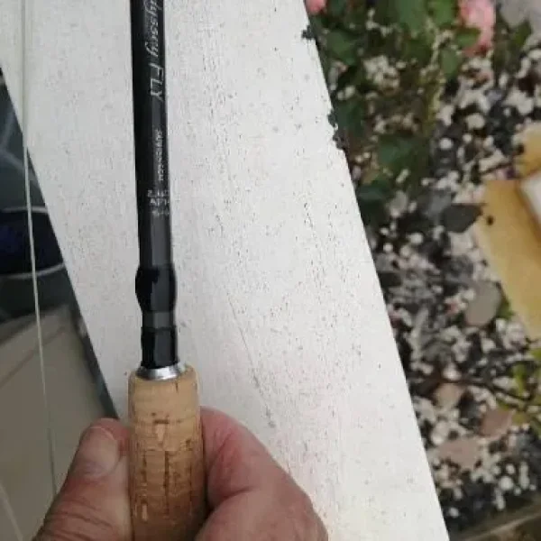 Shakespeare 9-foot fishing rod