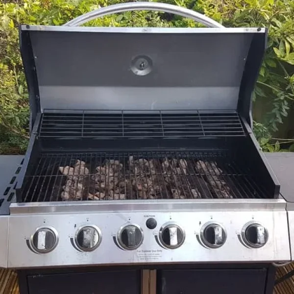 Gas BBQ with side ring