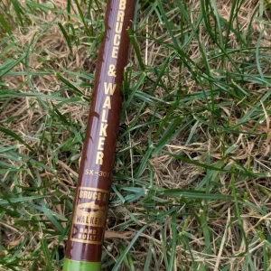 Collection of fishing rods