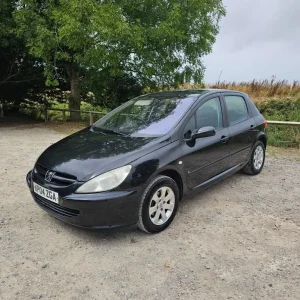 2004 Peugeot 307 1.6 S 16V [AC] 5dr HATCHBACK Petrol Manual - Image 3
