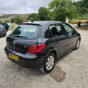 2004 Peugeot 307 1.6 S 16V [AC] 5dr HATCHBACK Petrol Manual - Image 4
