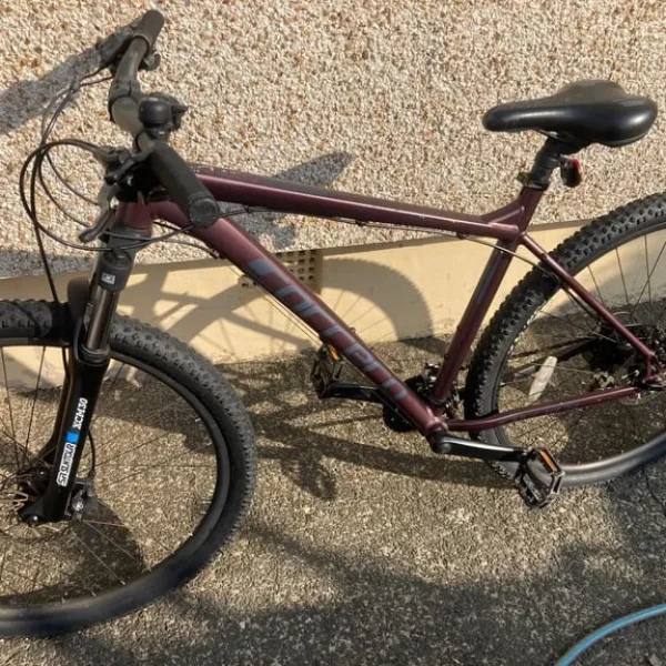 Carrera Hellcat 29