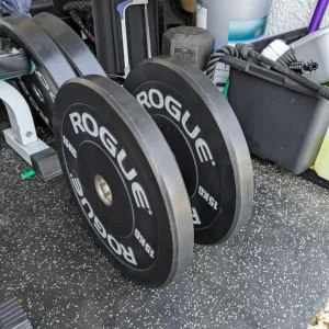 Rogue Echo Bumper Plates 15KG - Image 2