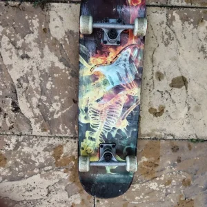 Regular skateboard - Image 3
