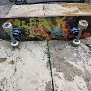 Regular skateboard