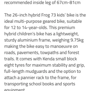 Black Kids Frog Bike ‘73 - Image 7
