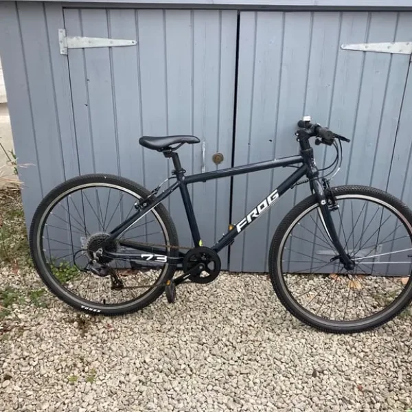 Black Kids Frog Bike ‘73