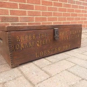 Antique Pine Trunk with Hand-Painted Details - Image 4