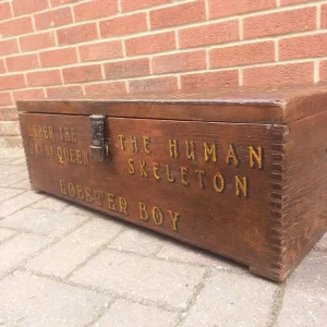 Antique Pine Trunk with Hand-Painted Details - Image 5