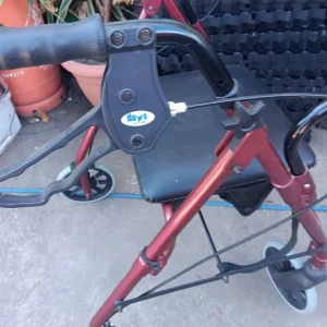 Adult Walker - Image 3