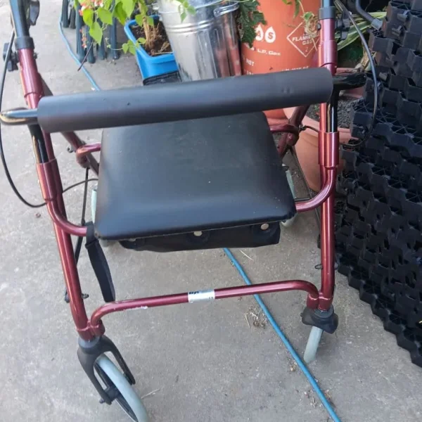 Adult Walker