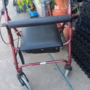 Adult Walker