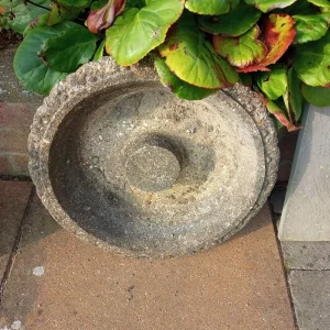 Bird table - Image 3