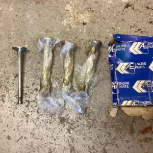 FORD PINTO exhaust valves