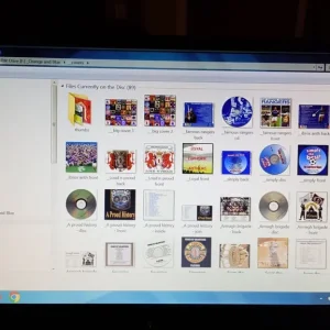 Orange - Rangers - Loyalist - Over 30 hours of music and tunes - MP3's on DVD disc - Image 5