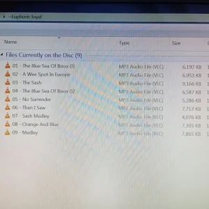 Orange - Rangers - Loyalist - Over 30 hours of music and tunes - MP3's on DVD disc - Image 8