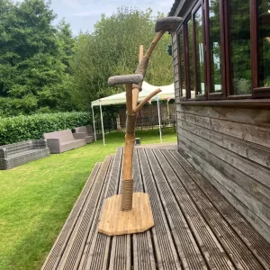 Apple tree branch cat tree - Image 2