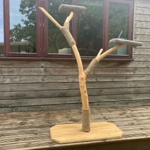 Apple tree branch cat tree