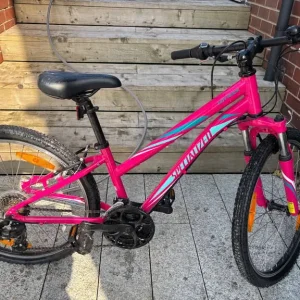 24 inch Hotrock mountain bike