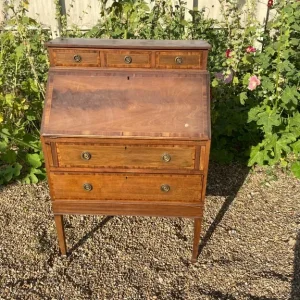 Wooden Desk with Wine Rack and Rug