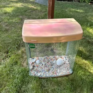 Small fish tank - Image 3