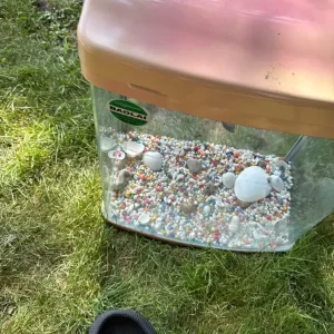 Small fish tank - Image 5