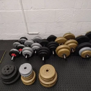 Dumbbells (62 plates and 10 bars)