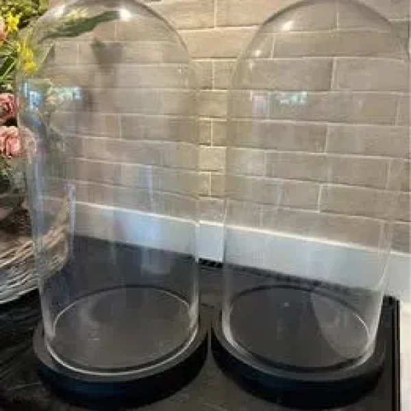 Two 20in Tall Glass Display Domes