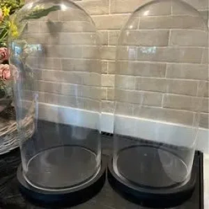 Two 20in Tall Glass Display Domes