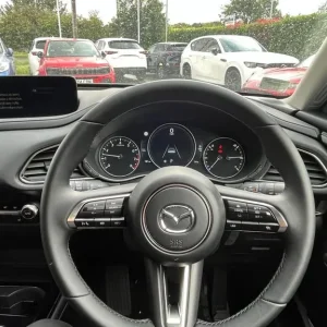 2025 Mazda CX-30 2.5 e-SKYACTIV G MHEV Exclusive-Line Auto Euro 6 (s/s) 5dr HATCHBACK Petrol Auto... - Image 8