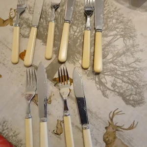 Fish knives and forks