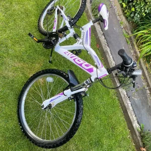 Mountain Bike - Image 3