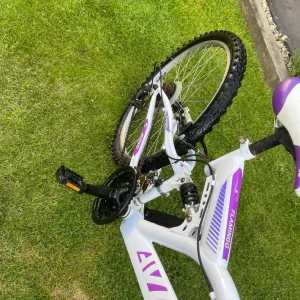 Mountain Bike - Image 4