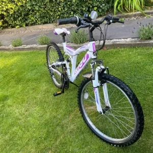 Mountain Bike - Image 7