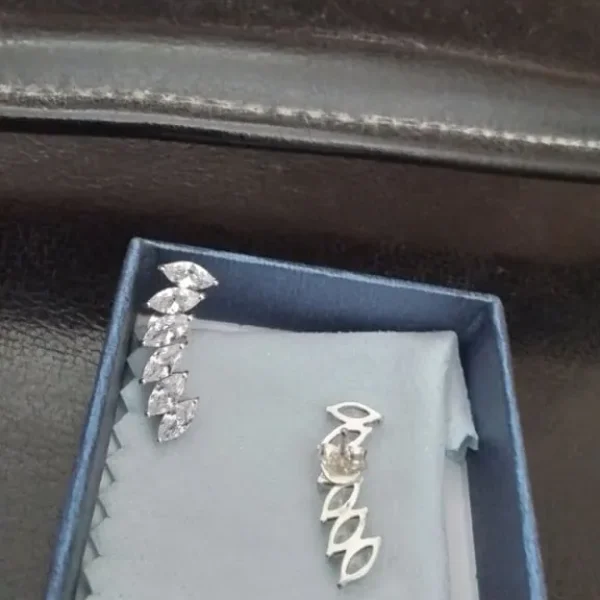 STERLING SILVER EARRINGS