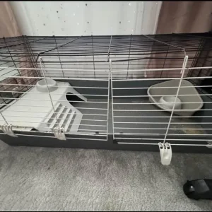 Bunny/guinea pig cage
