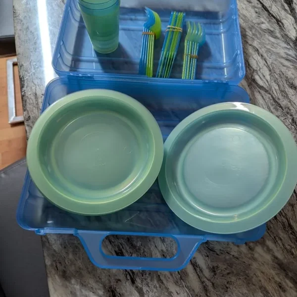 For Sale plastic picnic set