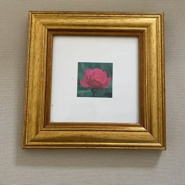 Picture in quality wooden frame