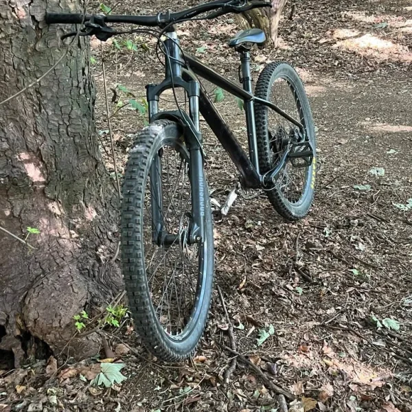 2022 specialized rockhopper elite