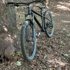 2022 specialized rockhopper elite