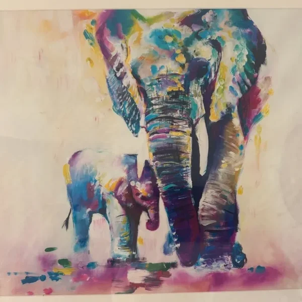Elephant canvas print 50x50cm