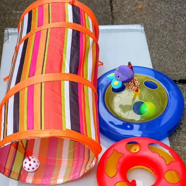 2 Cat Toys 1 Pop Up Tunnel