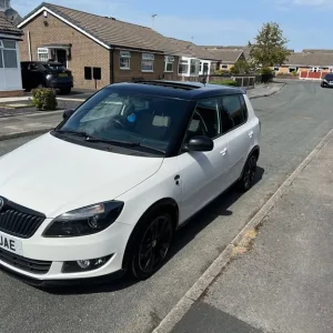 Skoda, FABIA, Hatchback, 2013, Manual, 1598 (cc), 5 doors - Image 4
